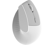 i300-W