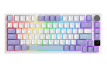 Бездротова механічна клавіатура Ajazz AK820 PRO 75% Flying Fish Switch White RGB (AK820PRO-FF-PWB)
