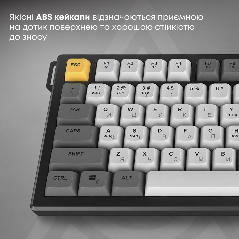 AF82-BGY